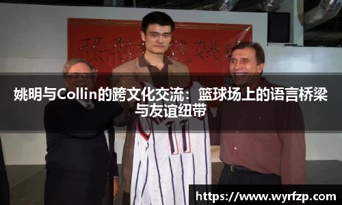 星空体育(中国)官方网站