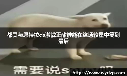 星空体育平台app